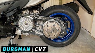 Suzuki Burgman 400  CVT Removal  Installation beltclutch  2017 and up  Mitchs Scooter Stuff [upl. by Atil]