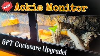 New 6x2x2 Ackie Monitor Enclosure [upl. by Hevak855]