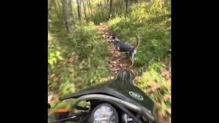 Suzuki DR200 Single Track Champ motorcycle suzukioffroad dirtbike nature suzukidr [upl. by Milty]