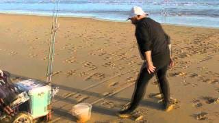 Venus Bay Surf Fishing [upl. by Okwu858]