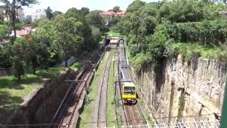 【Ghost station】Woollahra station does not stop all trains [upl. by Emlen]