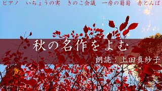 【名作朗読】秋に聴きたい名作５話【作業用】朗読：上田真紗子 心地よい癒しの朗読 聞く小説 [upl. by Quenna351]