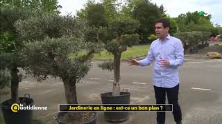 Jardinerie en ligne estce un bon plan [upl. by Anana]