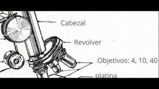 MICROSCOPIO ÓPTICO [upl. by Hsaka]
