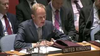 Russia’s veto disrespects victims of MH17 crash  UK ambassador on Russia’s ban of tribunal [upl. by Notac]