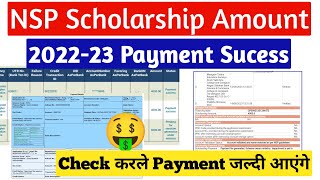 Nsp Payment Good News🤑  NSP Scholarship Payment Date 202223  अब सबको मिलेगा पैसा 2022 NSP Payment [upl. by Neibart]