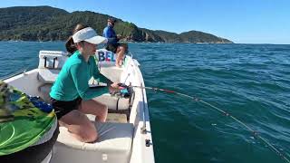 Pescaria de costeira em Ilhabela anchova e sororoca muita diversão Buzyfish guia de pesca [upl. by Bernardina]