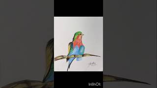 Colorful bird drawing with colorful Color pencil 😃 shorts RRSSArts drawing colors sketch birds [upl. by Eniliuqcaj]