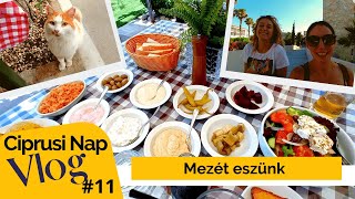 Ciprusi Nap Vlog 11 – Gyere Μeze 🙂🍴 [upl. by Lirbij]