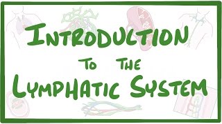 Introduction to the Lymphatic System [upl. by Sasha188]