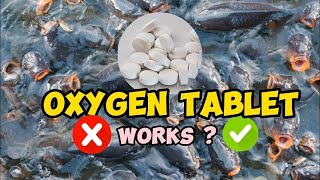 Oxygen Tablets for Dissolved Oxygen  Do They Really Work [upl. by Ikairik]