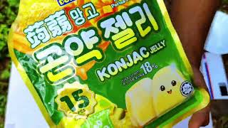 quotDelicious Konjac Jelly Taste Test amp Reviewquotjelly korean [upl. by Rollecnahc253]