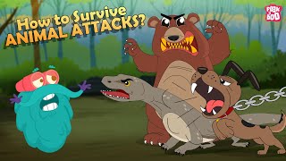 How to Survive Animal Attacks  Bear Dog Shark Komodo Dragon amp Giant Squid  The Dr Binocs Show [upl. by Halfon956]