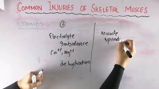 Cramps  Common injuries of skeletal muscle  Biomechanics of skeletal muscle [upl. by Redman]