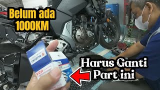 Servis Petama Suzuki V Strom 250 Sudah Harus Ganti Sparepart ini [upl. by Arriat]