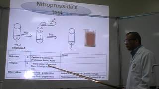 Nitroprussides test Part 1 Identification of Amino Acids Cysteine or Cystine [upl. by Virgie]