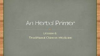 Two Popular Chinese Herbs Explained  Introduction to Traditional Chinese Medicinal Herbs [upl. by Adnima]