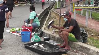 Banyaknya ikan di jaty batang Ai Lubok Antu [upl. by Ahsertal]