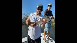 NORTH CAPTIVA ISLAND…… “multiple species”florida redfish ocean island ￼ [upl. by Rudiger]