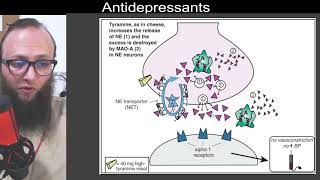 07 35  Inhibition of monoamine oxidase A MAOA and tyramine [upl. by Akibma]