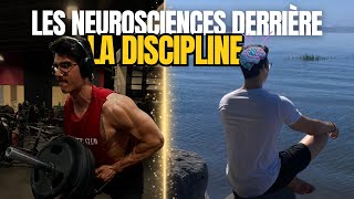 La DISCIPLINE selon les NEUROSCIENCES [upl. by Atyekram]