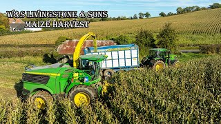 John Deere 9900i Maize Harvest Northern Ireland  WampS Livingstone [upl. by Elodea]