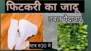 खेती में फिटकरी का सही उपयोग। potassium Aluminium sulphate used in farming। fitkari ke upyog।alum [upl. by Yttisahc]