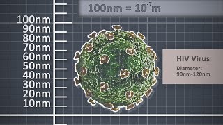 The Metre  Metric unit of length  Scale comparison [upl. by Lorain]