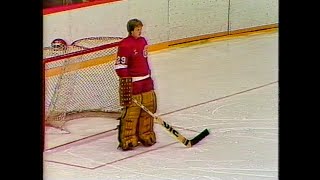 Chicago Blackhawks Detroit Red Wings March 24 1982 [upl. by Benedic]