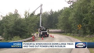 Powerful winds knock down large trees take out power lines in Dublin [upl. by Aradnahc]