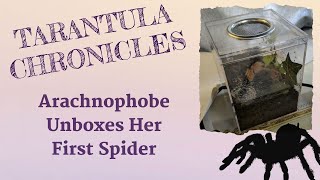 Unboxing a Tliltocatl albopilosus from Jamies Tarantulas [upl. by Yrovi]