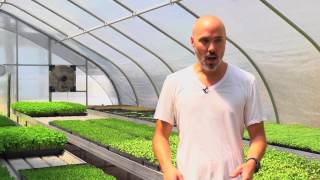 Good Water Farms A Modern Microgreens Urban Farm [upl. by Muslim]