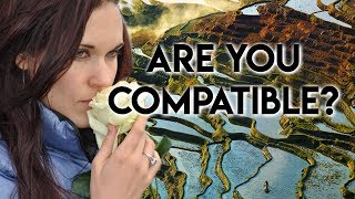 Incompatibility A Harsh Reality in Relationships  Teal Swan [upl. by Tsirhc545]