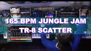 Drum amp Bass  We Need Jungle Im afraid  TR8 Jungle [upl. by Dusa84]