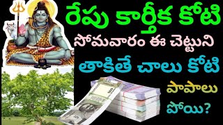 రేపు కార్తీక కోటి సోమవారం ఈ చెట్టుని తాకి వస్తే చాలు కోటి పాపాలు పోయి కోటీశ్వరులు అవుతారు [upl. by Yajet]