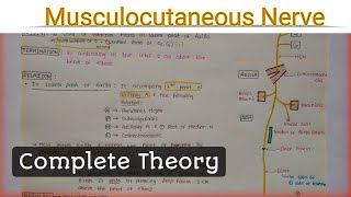 Musculocutaneous Nerve [upl. by Lev]