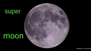 Mytron amp Balam  quotCabasa Locaquot hunters super moon 4K [upl. by Turtle903]