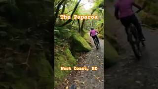 The Paparoa Trail from Punakaiki to the first hut mtb travel bike [upl. by Tatia]