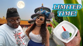 EPCOT limited time mooncake 🌙 Food and Wine festival review 2024 [upl. by Gerc871]