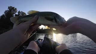 Bass Fishing at Riverfront Park GOOD Evening Bite [upl. by Nakada]