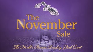 The 2024 FasigTipton November Sale [upl. by Bannister111]