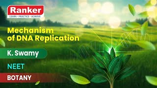 DNA Replication  Mechanism of DNA Replication  Botany  K Swamy  Rankers Learning [upl. by Annerb359]