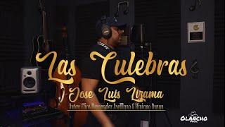 Las Culebras  Jose Luis Lizama olanchomusic [upl. by Aubreir]