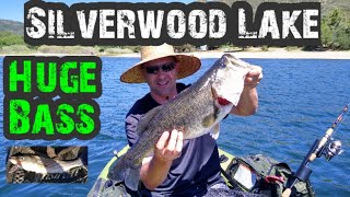 Silverwood Lake Fishin  Float Tube Trip  Summer [upl. by Atsirk359]