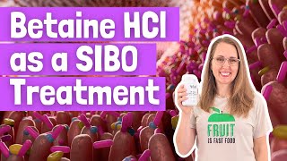 Betaine HCl as a SIBO Treatment [upl. by Vina]