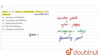 Which of the following Pteridophytes belong to class Pteropsida [upl. by Ahsatel]