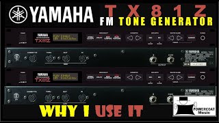 Yamaha TX81Z Tone Module Why I Use It [upl. by Lehte164]