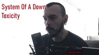 System of a Down  Toxicity Cover [upl. by Halludba386]