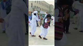 Chita Chola Saraiki Song Arid University Rawalpindi Jhumar ♥️ [upl. by Sorensen]