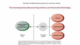 Information Systems in Global Business Today [upl. by Timrek]